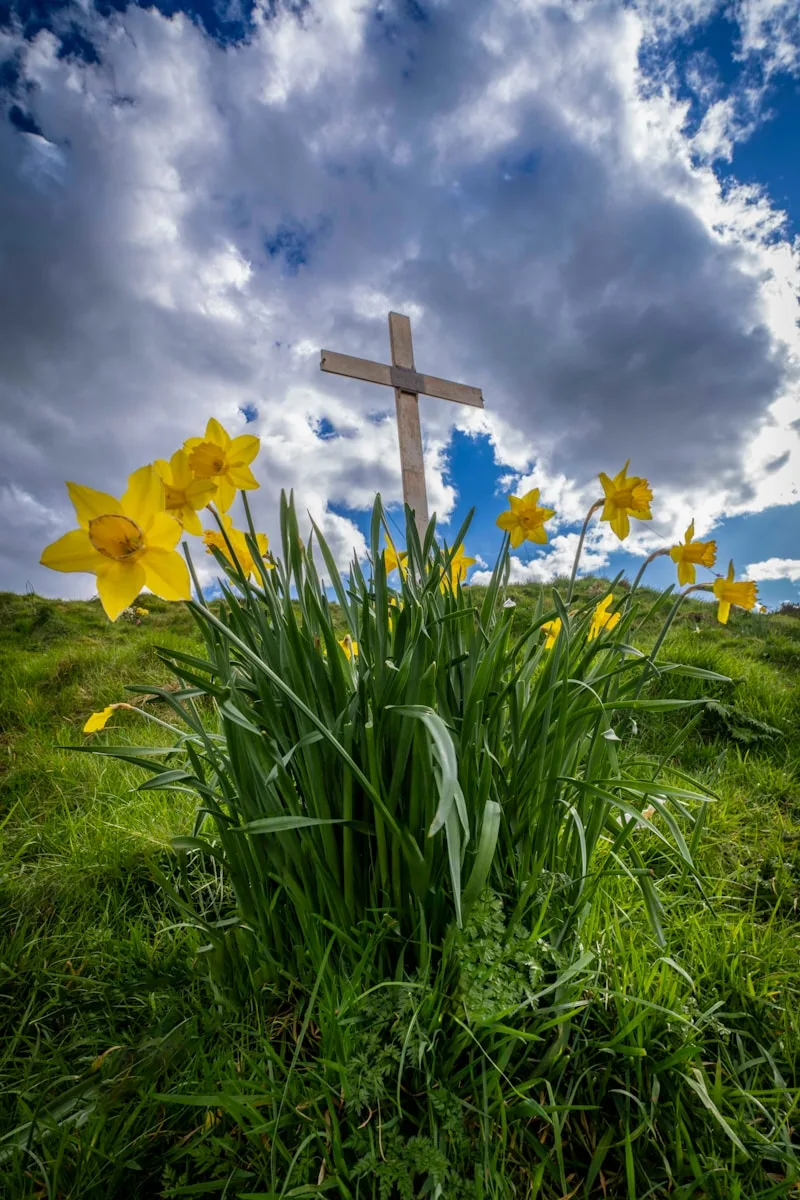 Holy Week & Easter 29th March-5th April